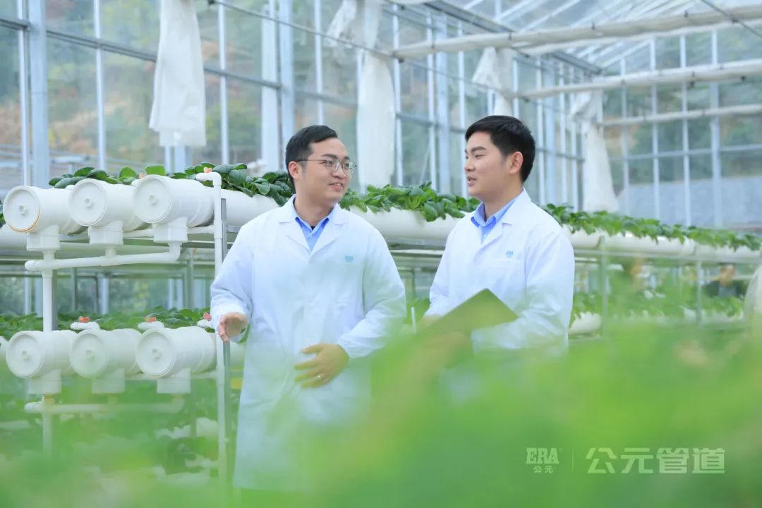 奥门2025资料1688